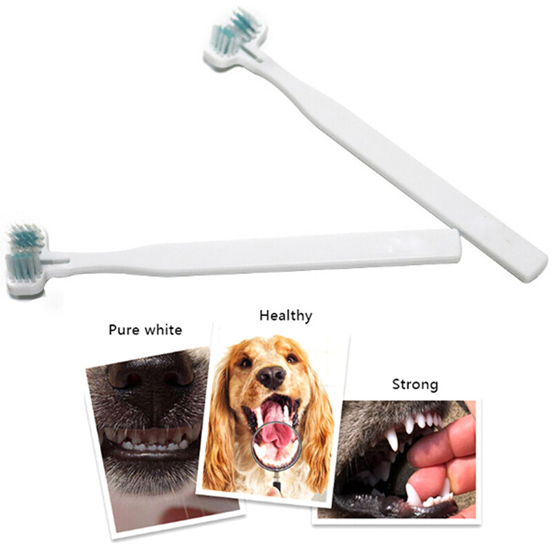 Double Oral-Service
